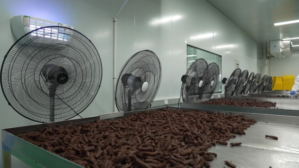 開發(fā)區(qū)肉牛產(chǎn)品 以“牛”品質(zhì)征服全國市場