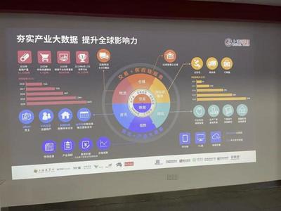 上?；ヂ摼W數據服務產業規劃啟示錄 湖北跟班干部的深刻感悟